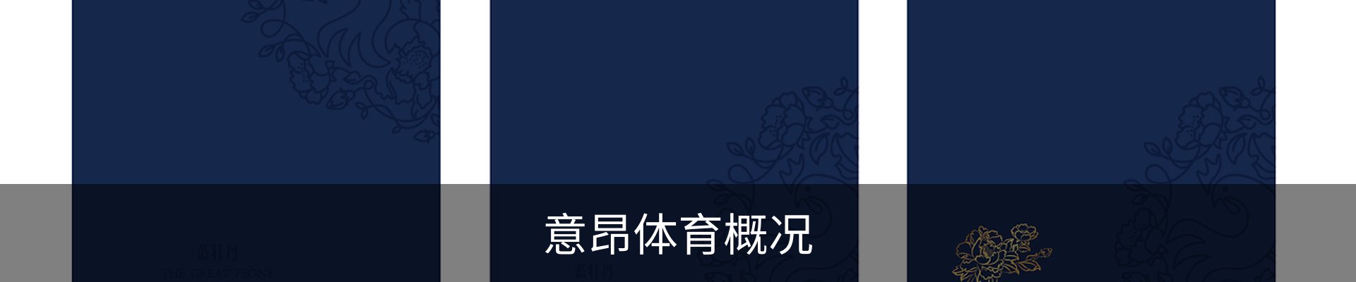意昂体育概况